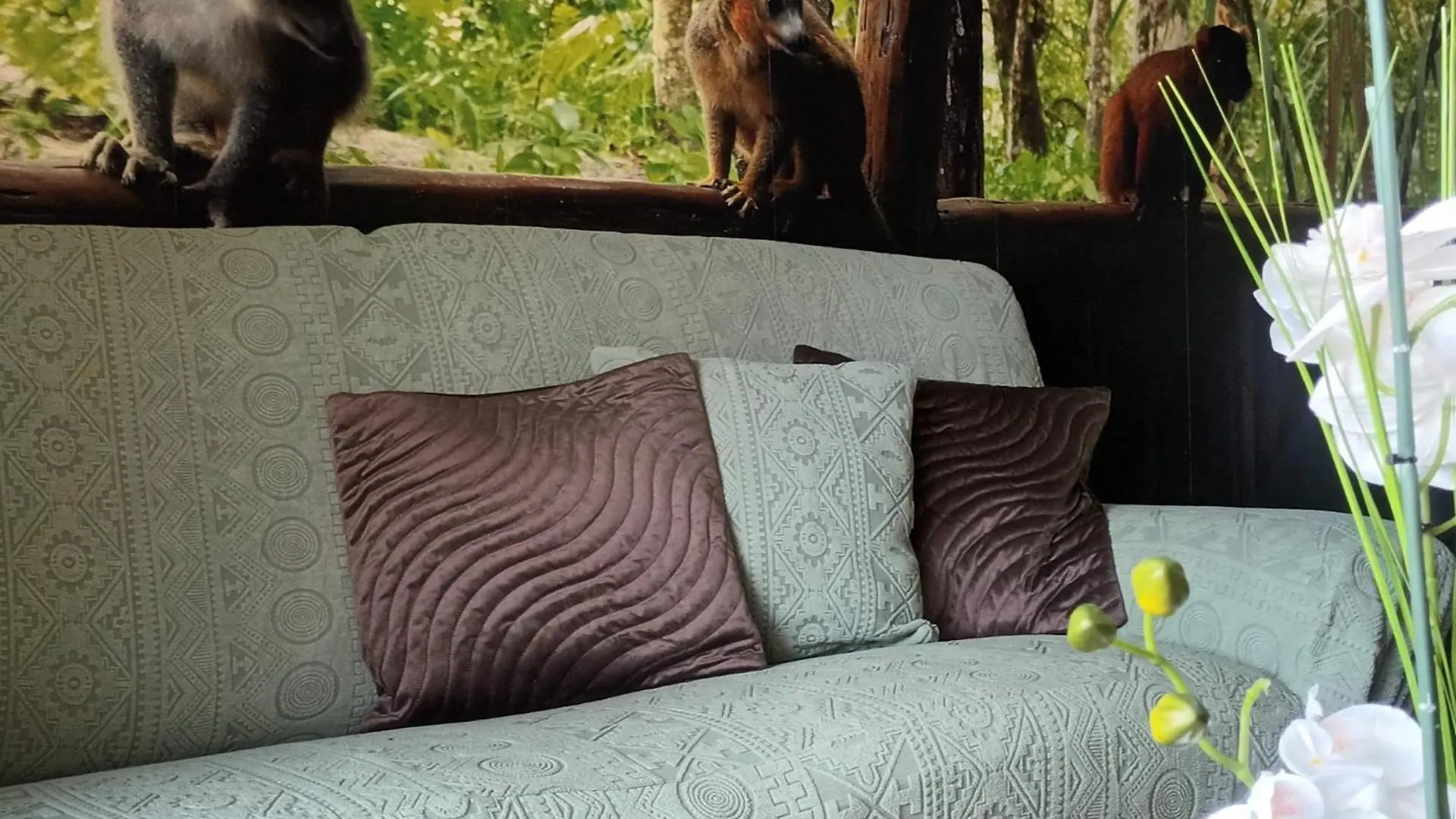 Appartement Escapade Nature 阿讷西 公寓